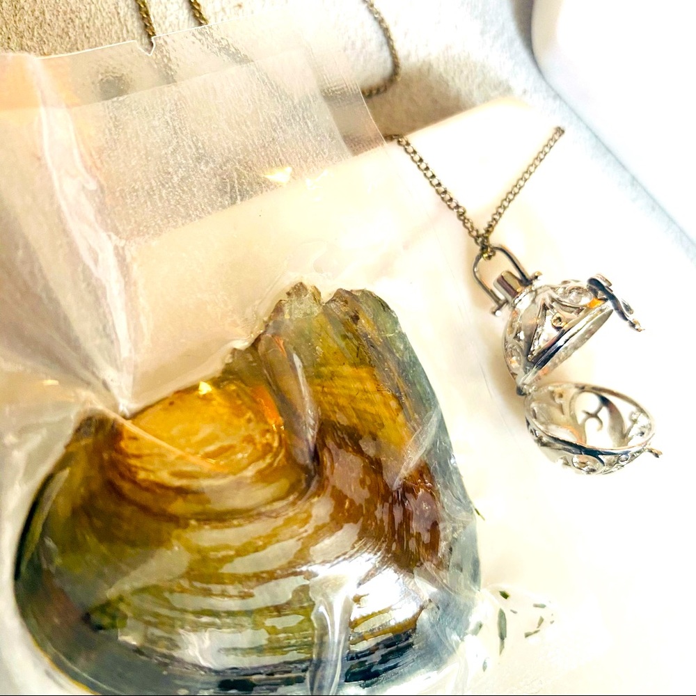 Oyster Pearl Necklace Kit
